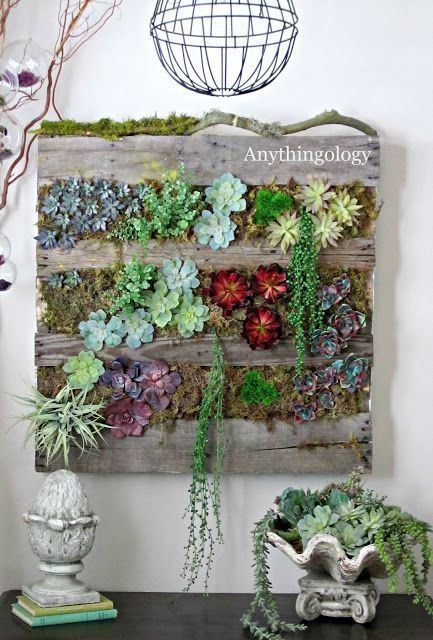 940213-houseplants-09