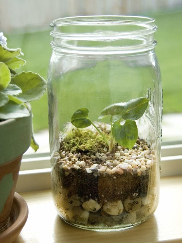 940213-houseplants-11