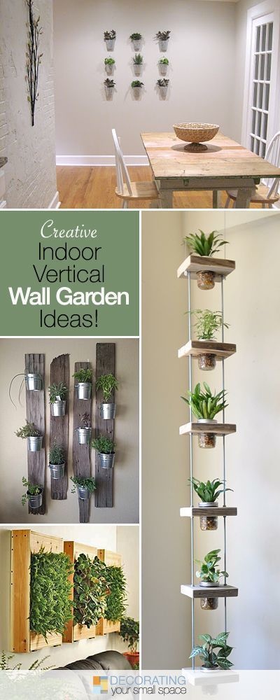 940213-houseplants-20